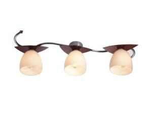 Quality 2013 ceiling lamp,spot lights,glass spot lights wholesale