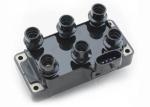 Six Cylinders Car Ignition Coil 919F-12029-AA / DG-440 / 0297006760 For FORD