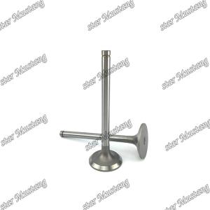Quality C13 Engine Spare Valve Part 252-7802 224-3030 For Carter wholesale
