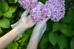 Antibacterial 2.0g Disposable TPE Gloves For Food Industry
