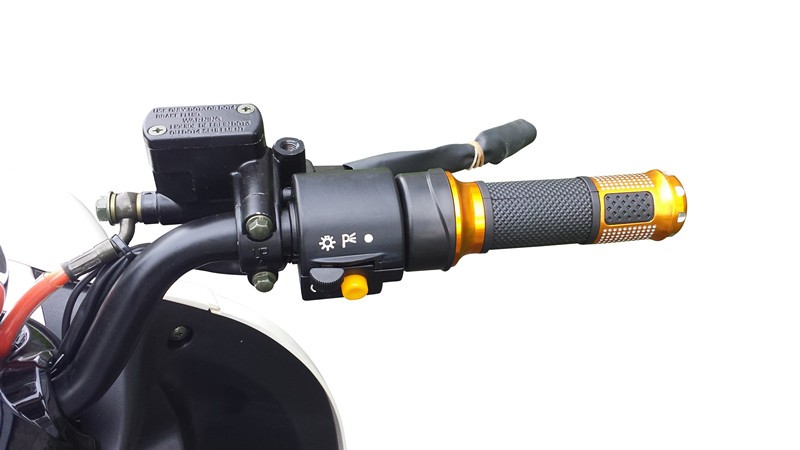 Electric Scooter 2000w 60V with Huge Power and 20AH Battery TDX20Z Charging Time 6-8h