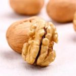 Walnut Chinan Manufacturer Xin2 walnut In shell Best Price Delicious Light Brown