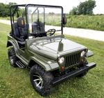 4 Wheel Hydraulic Disc Brakes 8.7 HP 200cc Go Kart Buggy