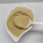 Honeysuckle PE Plant Extracted Powder Herbal Feed Additives Anti Bacterial
