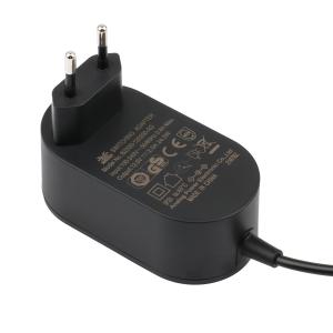 Quality GS Certified Universal Switching Mode Power Adapter 12V DC 2A wholesale