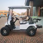 OEM Mini Aetric 2 Seater Golf Cart 30mph With Lead Acid Battery