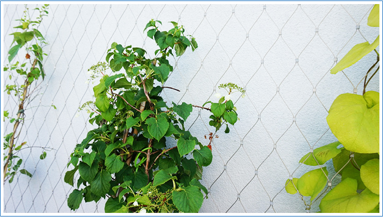 stainless steel wire rope mesh