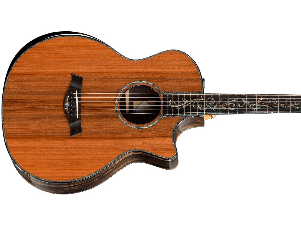 41 inch Solid Spruce top PS14 acoustic guitar,Cocobolo Back and sides,Real abalone Ebony fingerboard TY acoustic Guitar