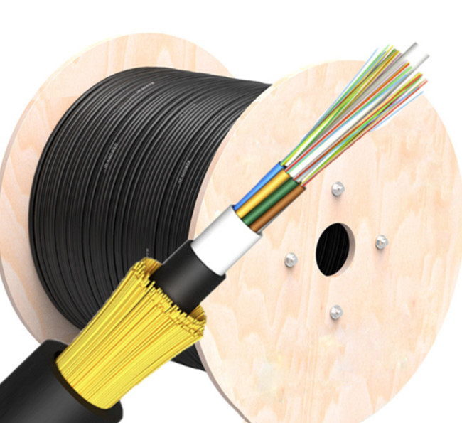 G652D 6 12 24 48 72 96 Core Fiber Optic Cable ADSS Non Metallic