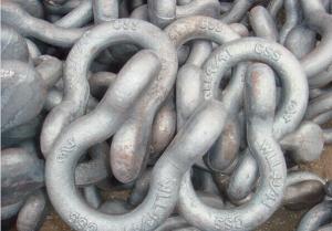 Quality chain Shackles wholesale