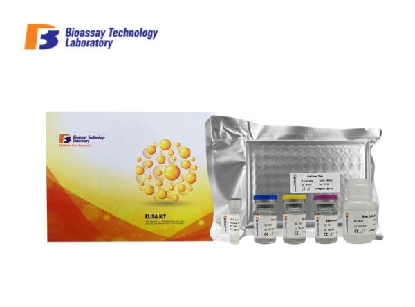 96 Wells Mouse High Specificity and Sensitivity IFNG ELISA Kit 48 Wells For