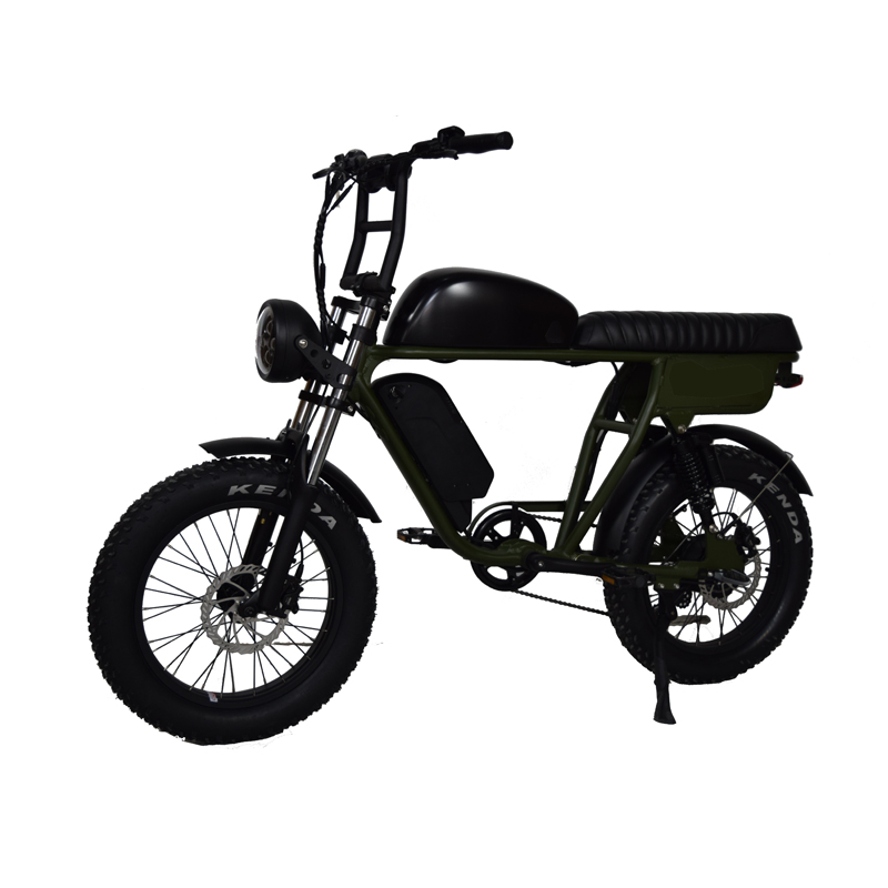 120 KGS Max Load LCD Display Electric Bike with Front and Rear Double Shock Absorbers