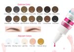 Long Lasting Permanent Makeup Pigments , Lips / Eyeliner / Eyebrow Tattoo Ink