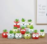 Succulents Plant Ceramic Animal Flower Pot for Garden or Home Decoration
