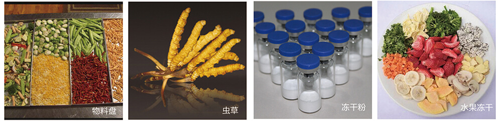 fruit freeze drying