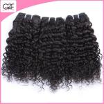 New Arrived Remy Wet and Wavy Human Hair 22 inch Brazilian Virgin Kinky Curly