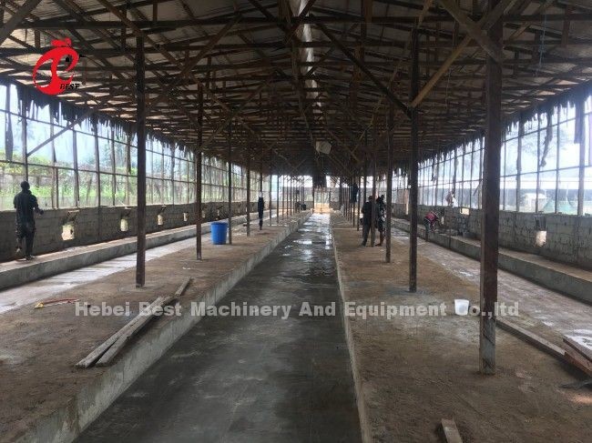 Fully Automatic 100 Chickens Poultry Battery Cage System H Type Hot Galvanized Adela