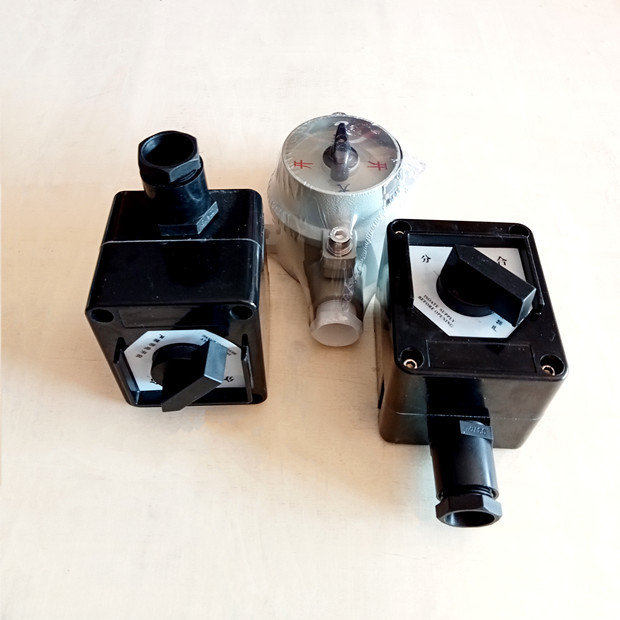 3 Phase Explosion Proof Light Switch For Safety Hazadous Industrial