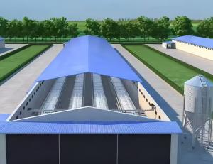 Quality Automatic Poultry Broiler House Steel Structure Chicken Poultry Farm Equipment wholesale