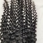 Deep Curly Lace Frontal Vietnamese Hair, Human Hair 5X5 Transparent HD Lace