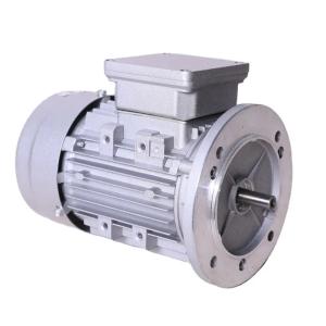 Quality Tefc 3 Phase Squirrel Cage Induction Motor 5.5kw 7.5 Hp wholesale