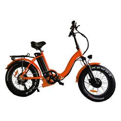 Quality Dolphin Shape 36v 10ah Electric Hybrid Bike Fast Charging wholesale