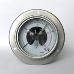 304SS Lower Back Mount Pressure Gauge 40 MPa 100mm Panel Mount