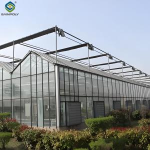 Quality Hydroponic Venlo PC Polycarbonate Solar Glass Greenhouse Customizable wholesale