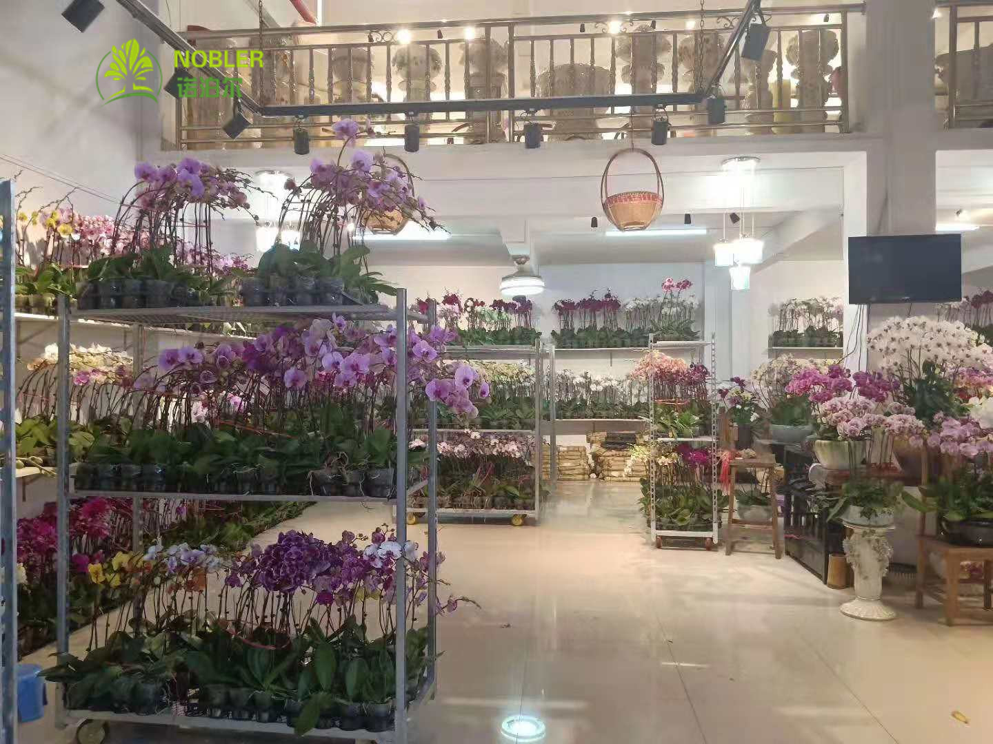 Strong And Durable Metal Boltless Rivet Storage Flower Rack Shelves 1320*1000mm