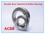 NN3020 K P4 W33 Double Row Cylindrical Roller Bearing