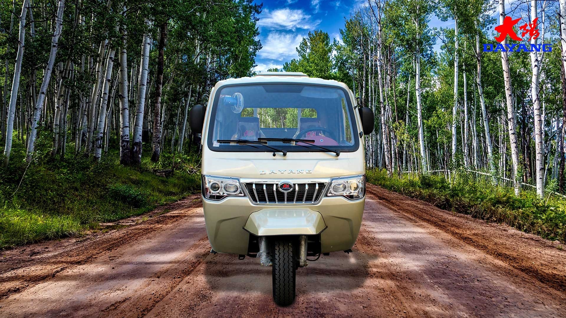 Affordable and Motorized Tricycles for Adults Maximum Speed ≥70Km/h Displacement 250cc