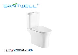 Quality Chaozhou Fashionable Rimless Close Coupled Wc Toilet Floor Standing Washdown Flushing wholesale