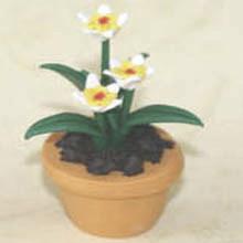 Quality Model Ceramic pot Flower CF62 wholesale