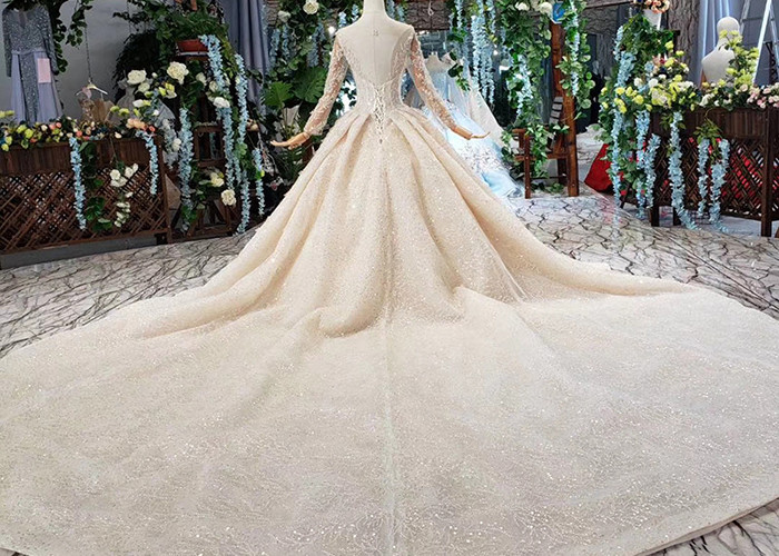 Long Sleeeve Ladies Bridal Gown Special Lace Sequins Fabric Big Long Tail