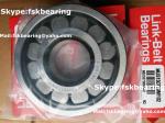 Certificated LINK-BELT Brand MUS1310TM W102 Roller Bearing 50mm ID