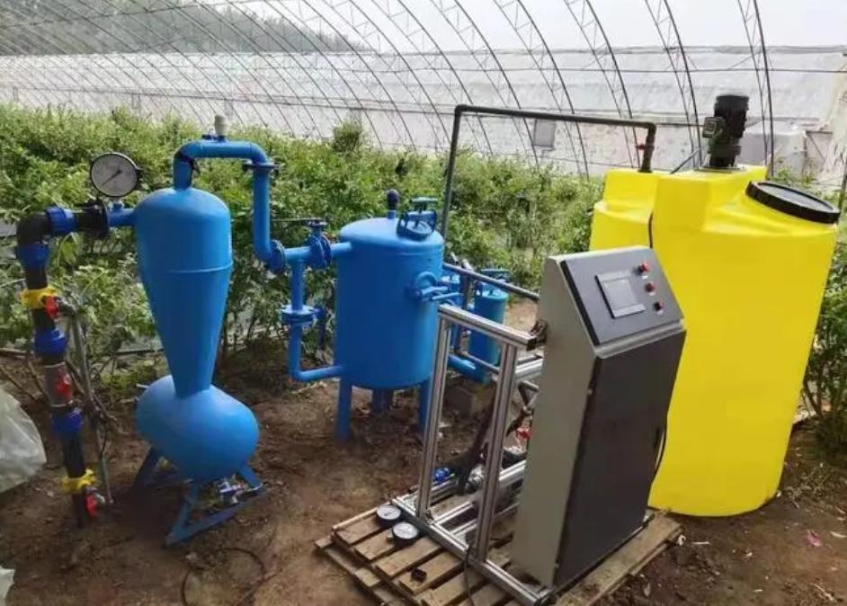 Cheap Commercial Planting Sunlight Greenhouse for Vegetables