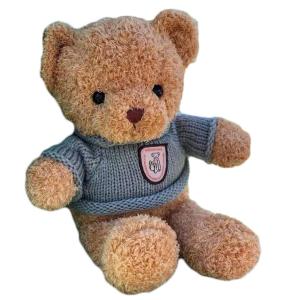 Quality 25cm Brown Plush Rag Doll Teddy Bear Girlfriend Birthday Gift wholesale