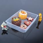FDA Certificated Square Food Trays Plastic Disposable