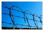 Concertina Coils CBT -65 Galvanized Single Razor Wire Fence Barbed Razor Wire