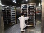 Stainless Steel Walk In Humidity Chamber For ISO 12219-1 VOC Whole Vehicle