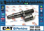 Common rail injector fuel injecto 250-1303 392-0226 250-1306 392-0212 20R-3483