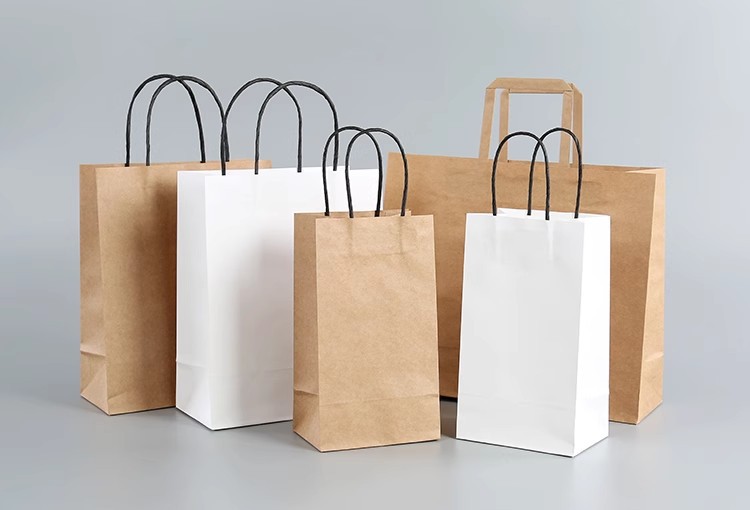Hot Style Fashion Blank Twist Handle Kraft Paper Shopping Bag with Hand Length Handle