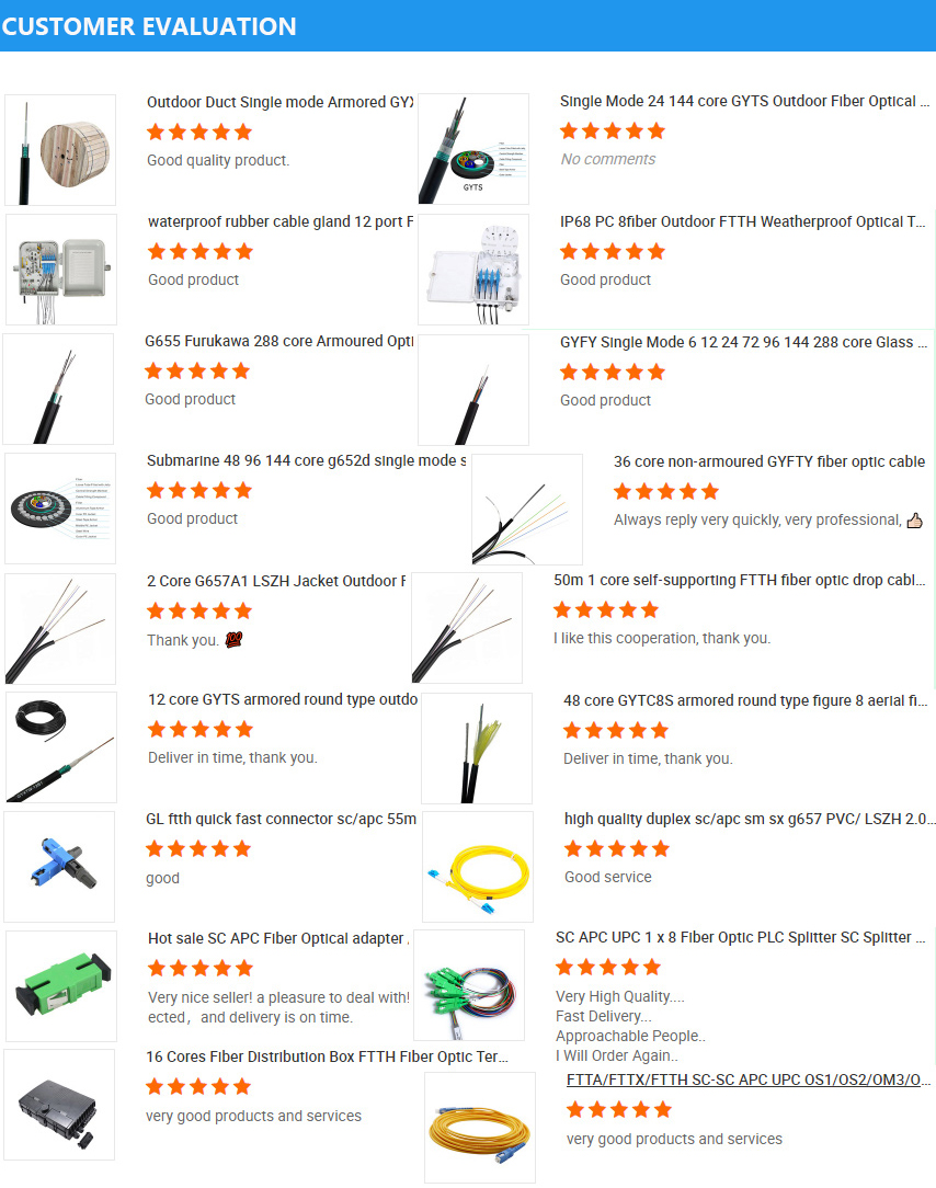 High Speed HXCOWO Aerial Single Mode GYXTW Outdoor 12Core G652D Tube HDPE Jacket Armoured Fiber Optical Cable