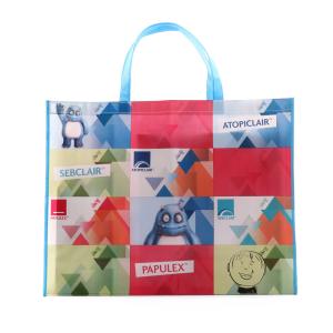 Quality Ink Printing OPP Laminated Shopping Non Woven Packaging Bags wholesale