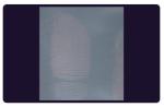C205 BTDM-Ⅰ Vacuum coating fingerprint developing instrument