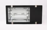 No Flash Electrodeless Light 100W IP65 , Street Lighting Fixtures