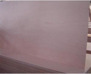 Quality Calophyllum Grains 1220×2440×18mm Red Plywood wholesale