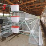 120 Birds 200 Birds Capacity Poultry Battery Cage System For Layers Broilers