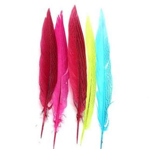Quality Shipping Worldwide Silver Pheasant Feather for Carnival Costumes and Party Decoration wholesale