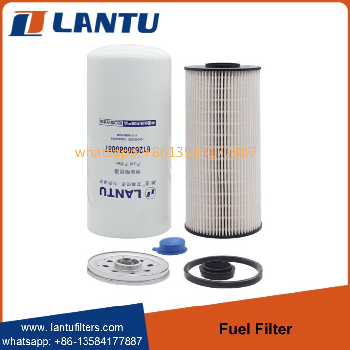 Lantu Diesel Fuel Filter 612630080087 1000053555 1000422382 1117050B81DM FC71090 R010018 Manufacturer